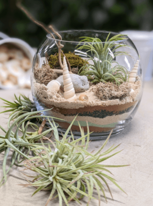 BEACH IN A BOWL WORKSHOP