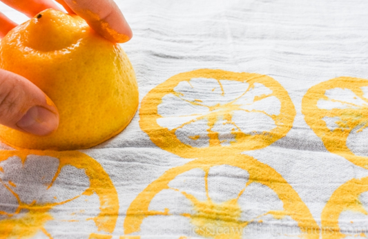 CITRUS PAINTED DISH TOWEL WORKSHOP