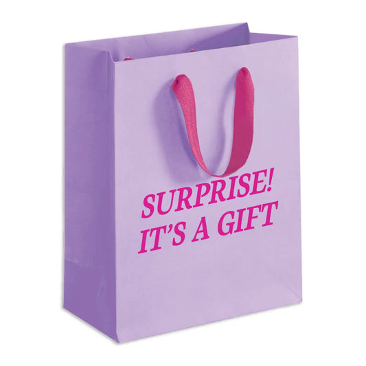 Surprise Gift Bag