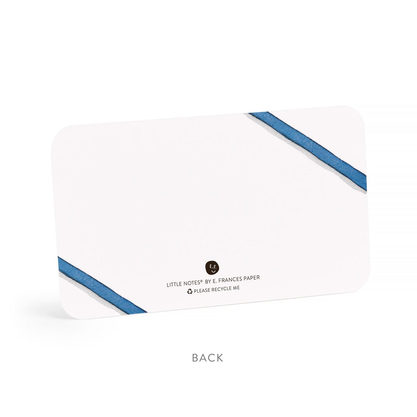 Blue Bow Little Note Cards