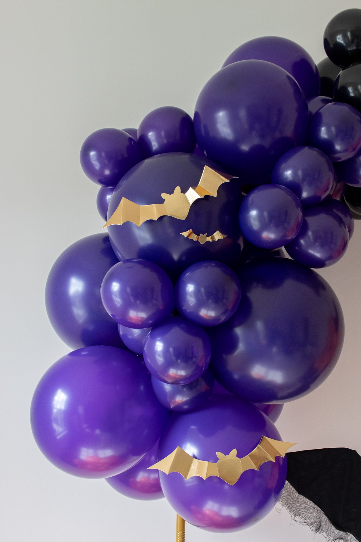 Bats & Balloons Backdrop